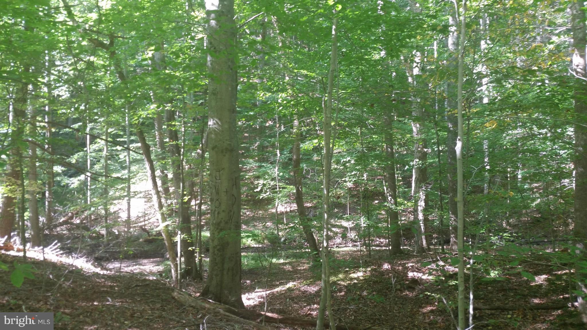 Crooked Run Rd Mount Basye, VA 22810 - Photo 21 of 37 View