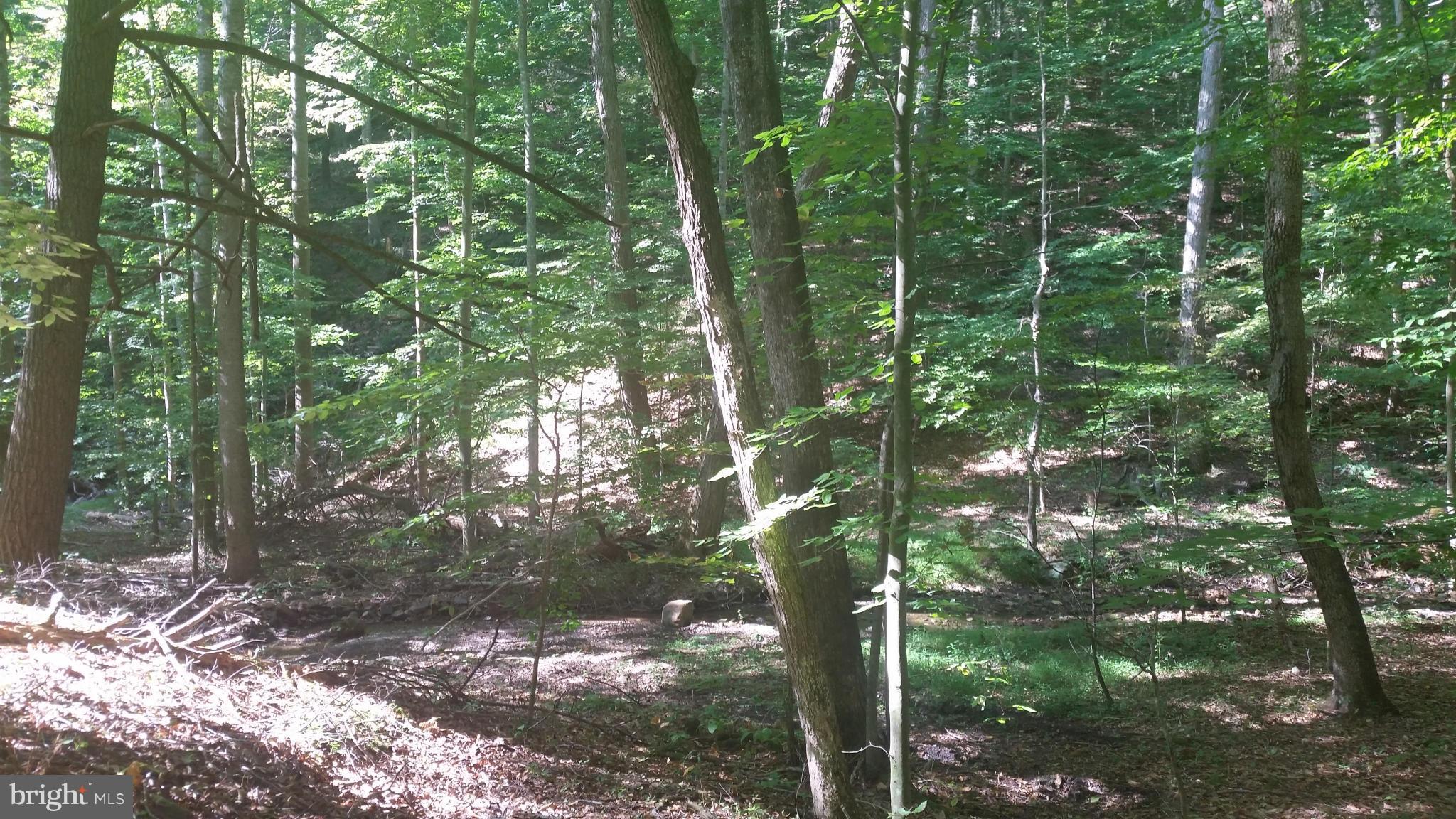 Crooked Run Rd Mount Basye, VA 22810 - Photo 22 of 37 View
