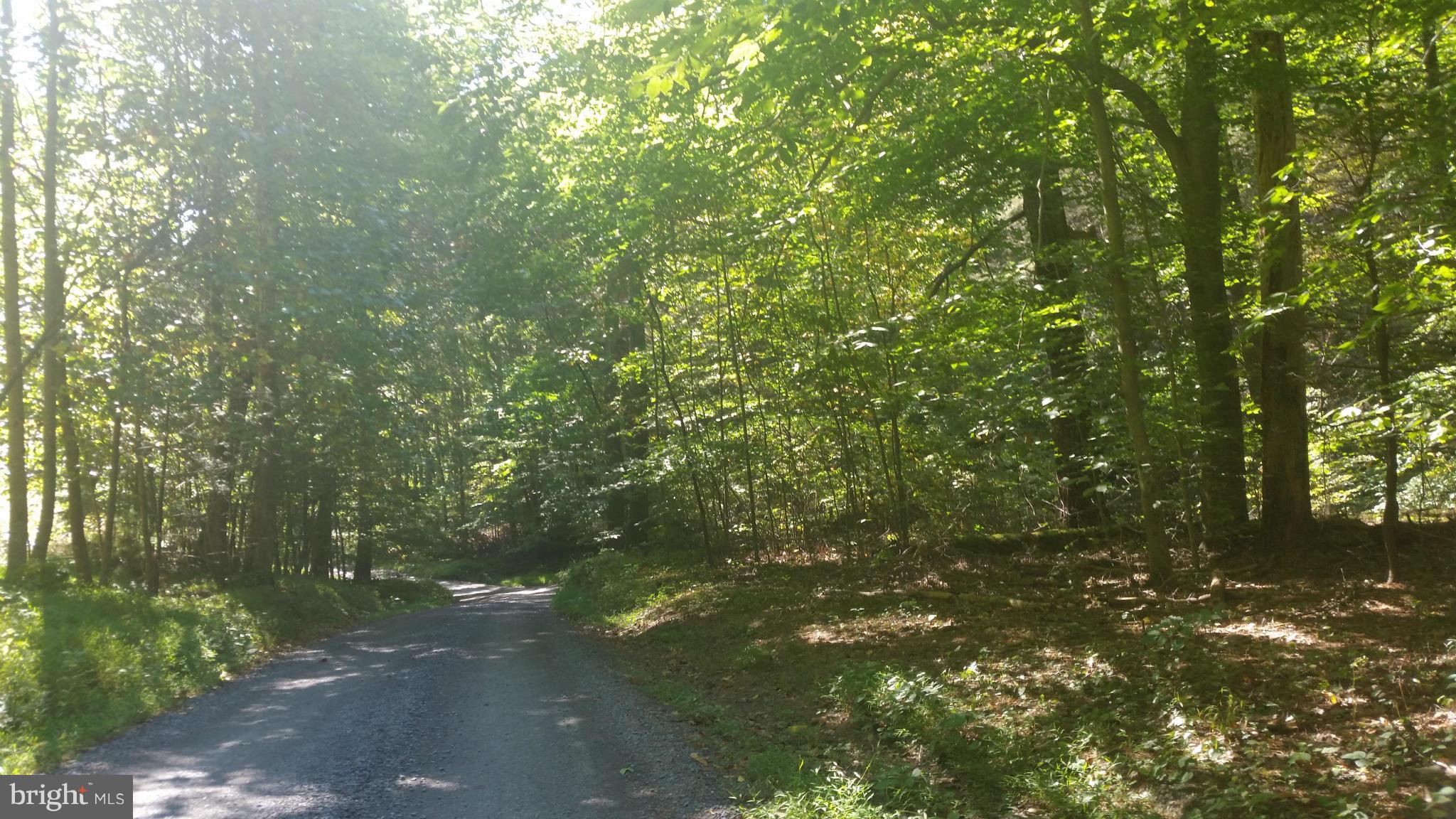 Crooked Run Rd Mount Basye, VA 22810 - Photo 24 of 37 View