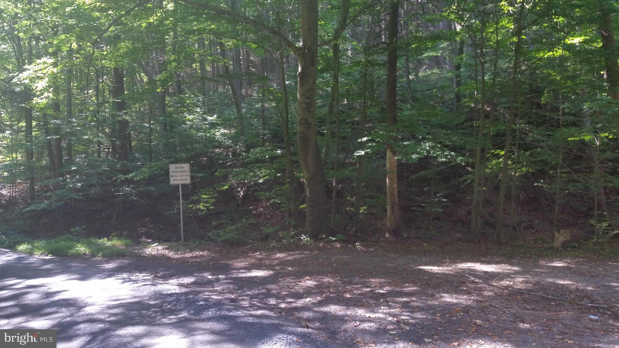 Crooked Run Rd Mount Basye, VA 22810 - Photo 25 of 37 View