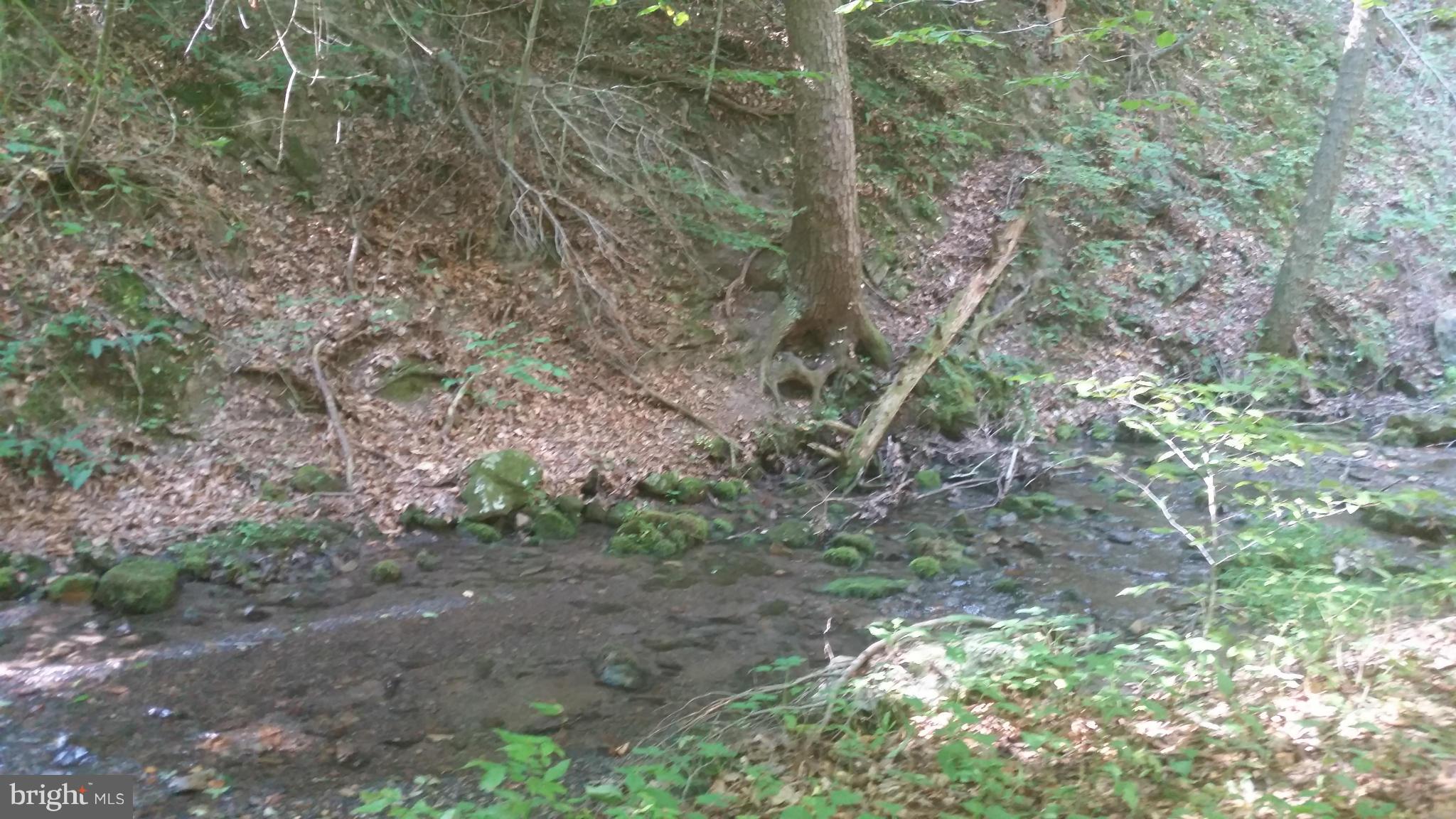 Crooked Run Rd Mount Basye, VA 22810 - Photo 27 of 37 View