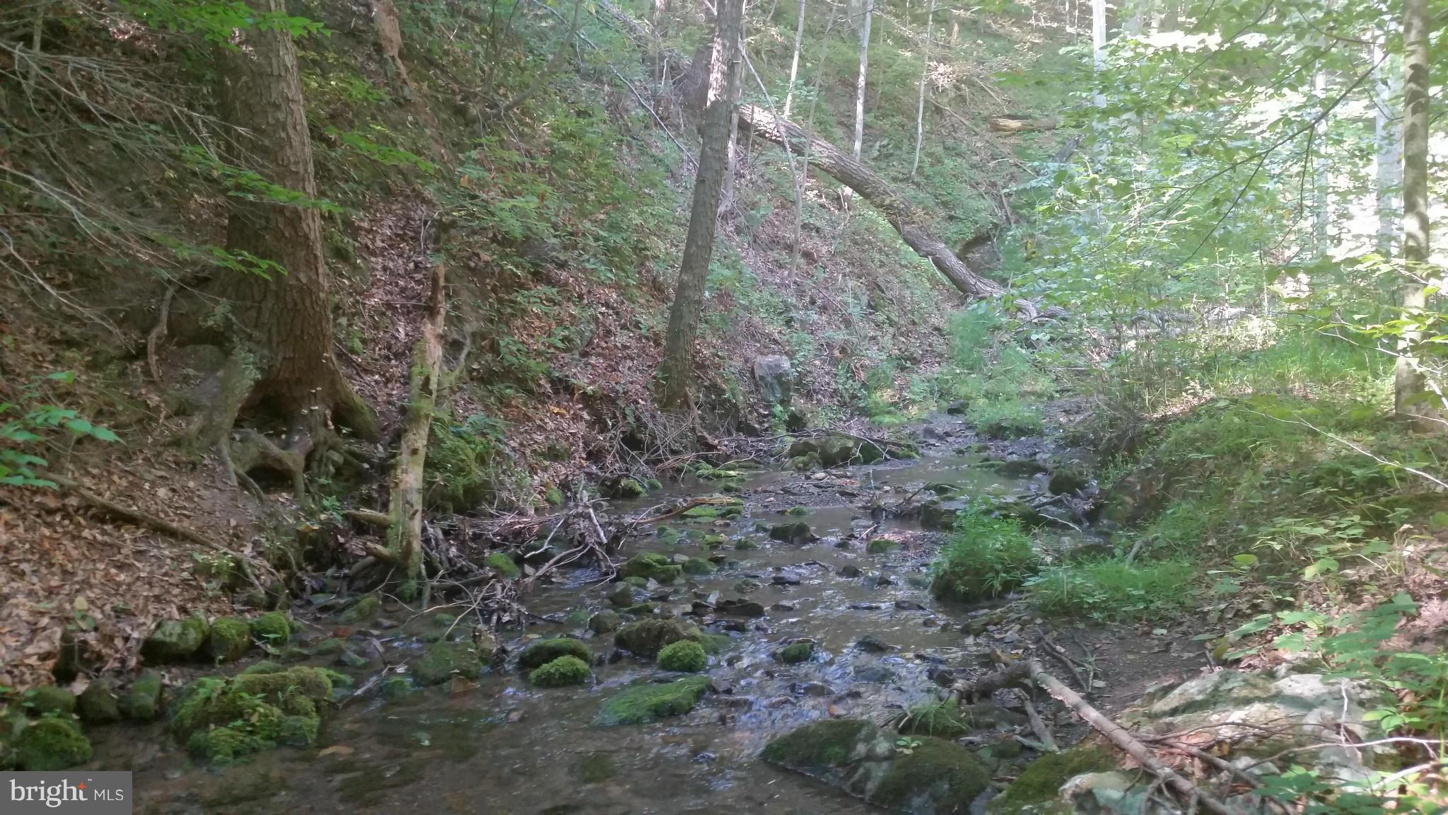 Crooked Run Rd Mount Basye, VA 22810 - Photo 28 of 37 View