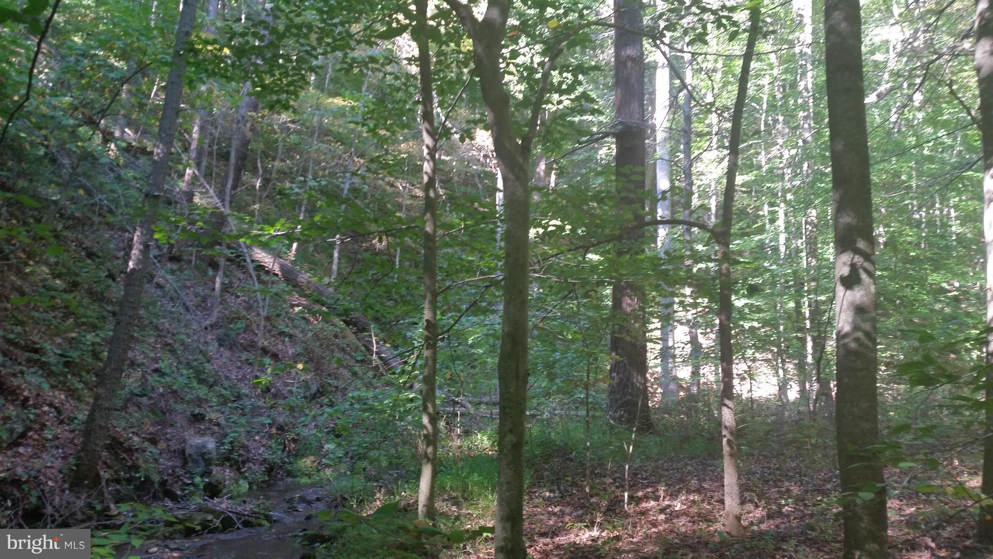 Crooked Run Rd Mount Basye, VA 22810 - Photo 29 of 37 View