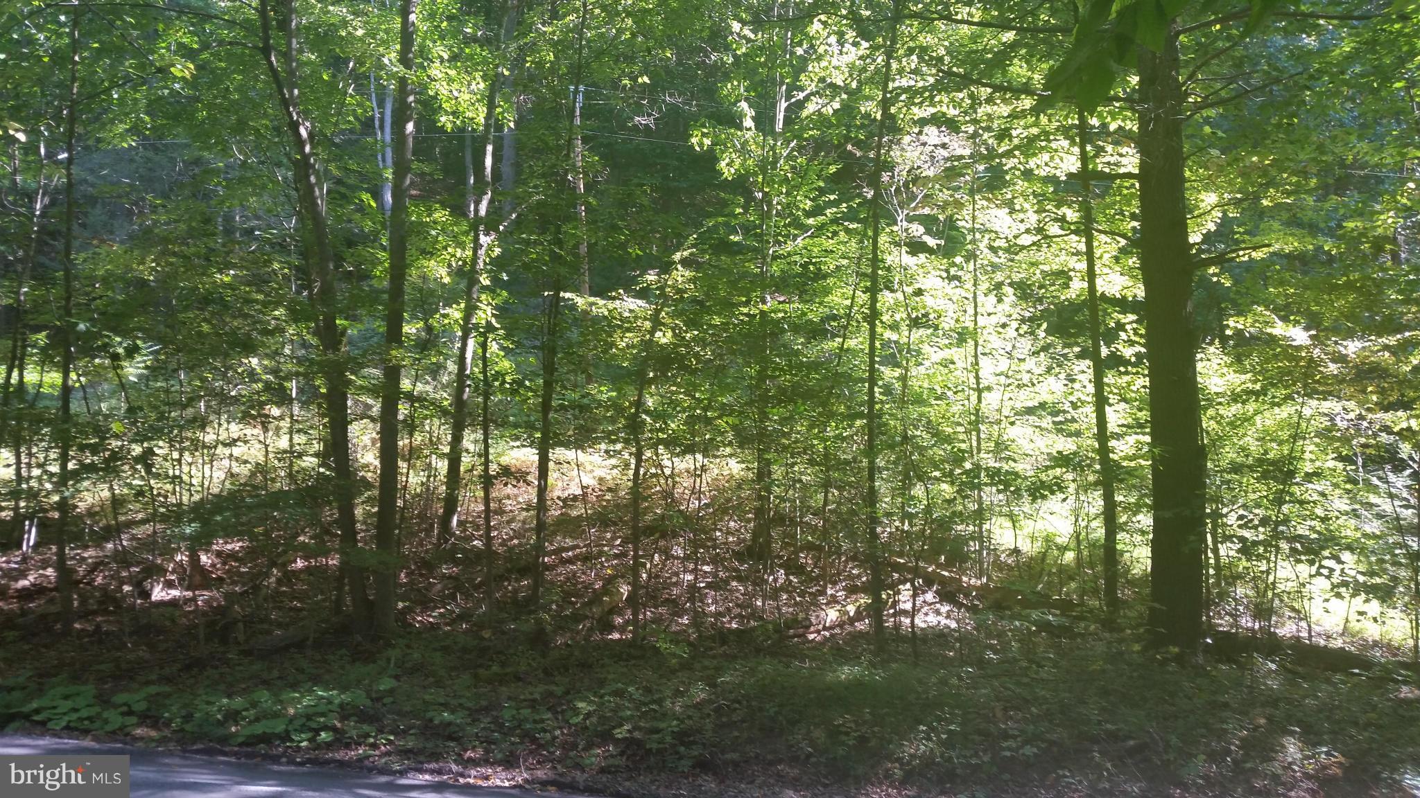 Crooked Run Rd Mount Basye, VA 22810 - Photo 30 of 37 View