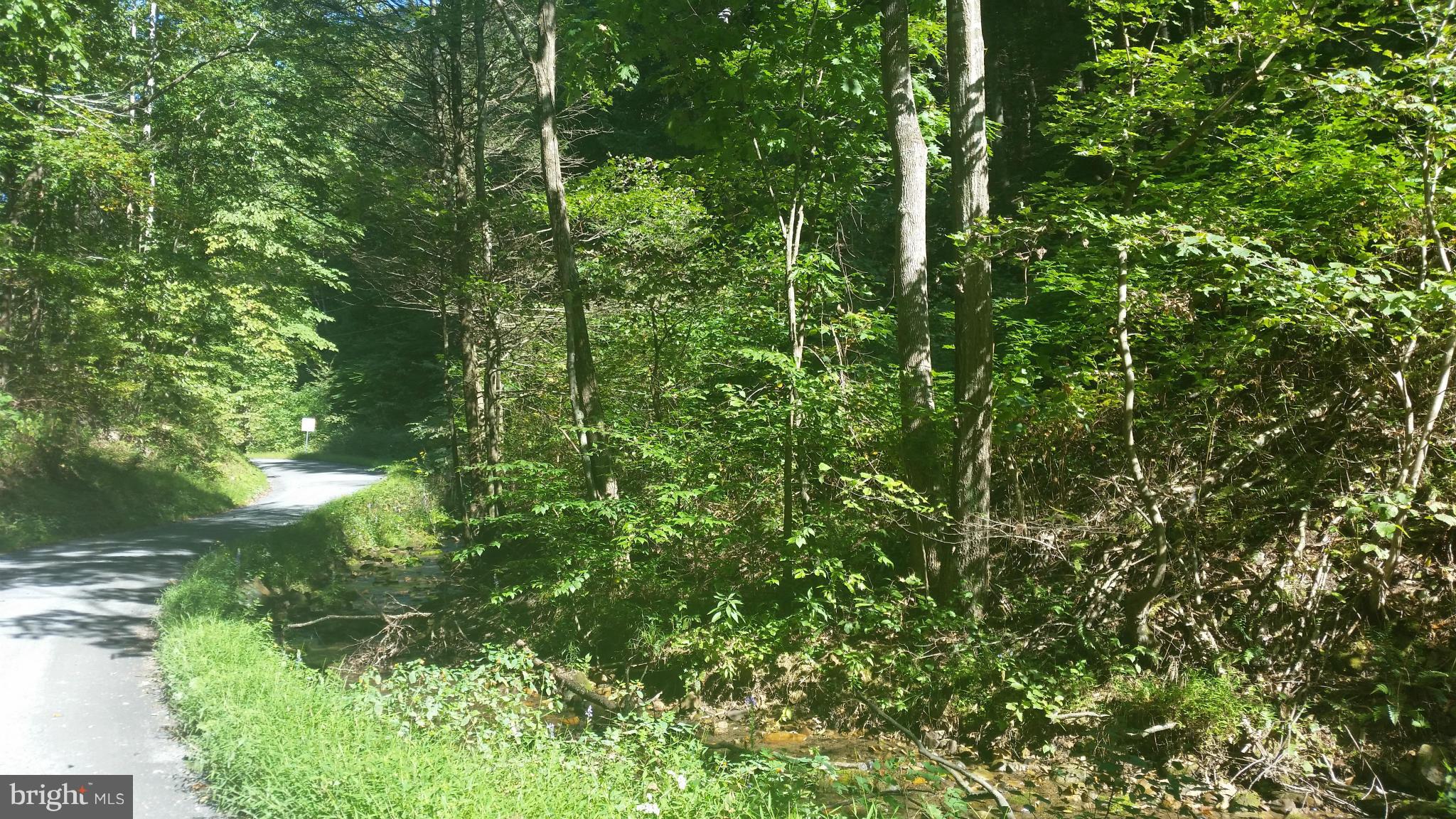 Crooked Run Rd Mount Basye, VA 22810 - Photo 31 of 37 View
