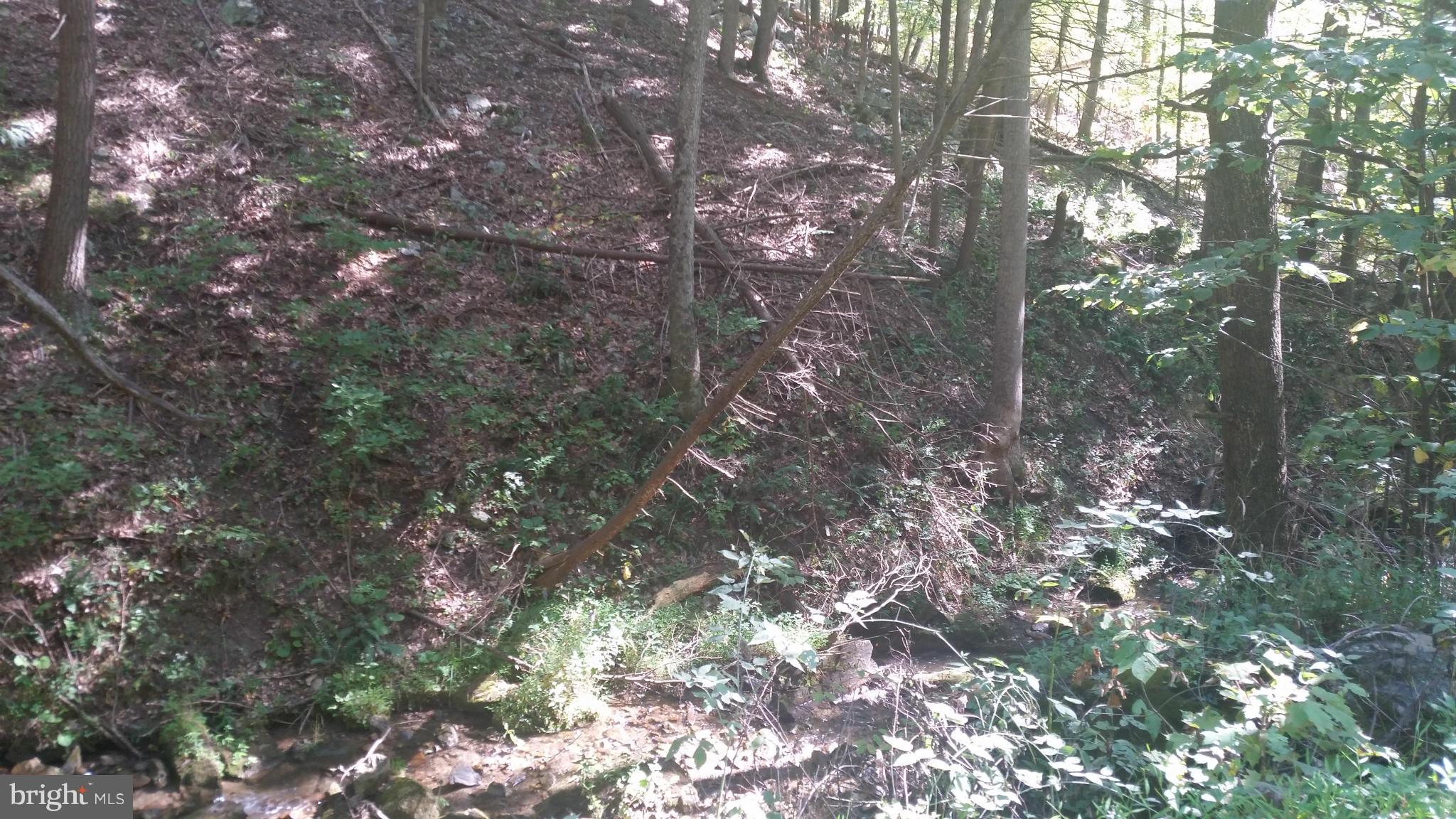 Crooked Run Rd Mount Basye, VA 22810 - Photo 33 of 37 View