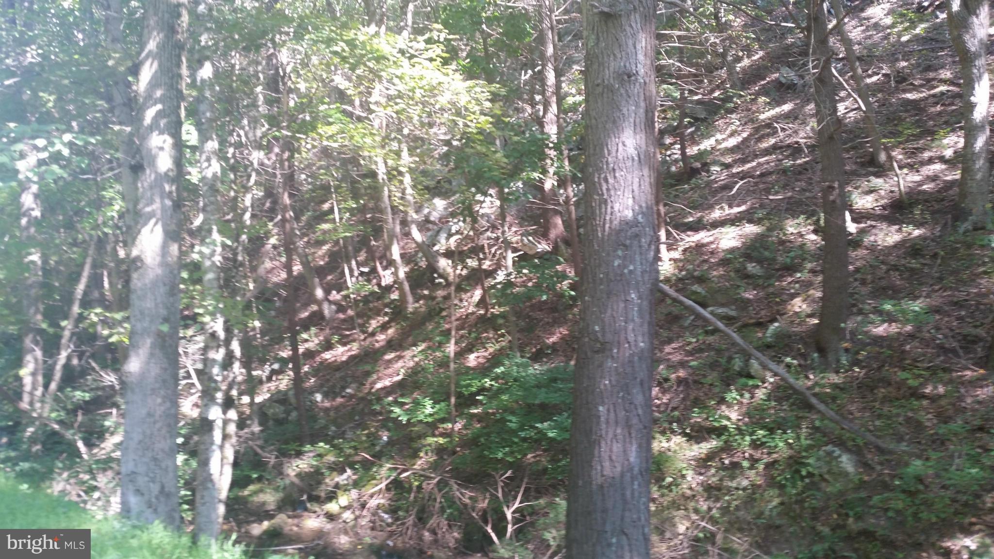 Crooked Run Rd Mount Basye, VA 22810 - Photo 34 of 37 View