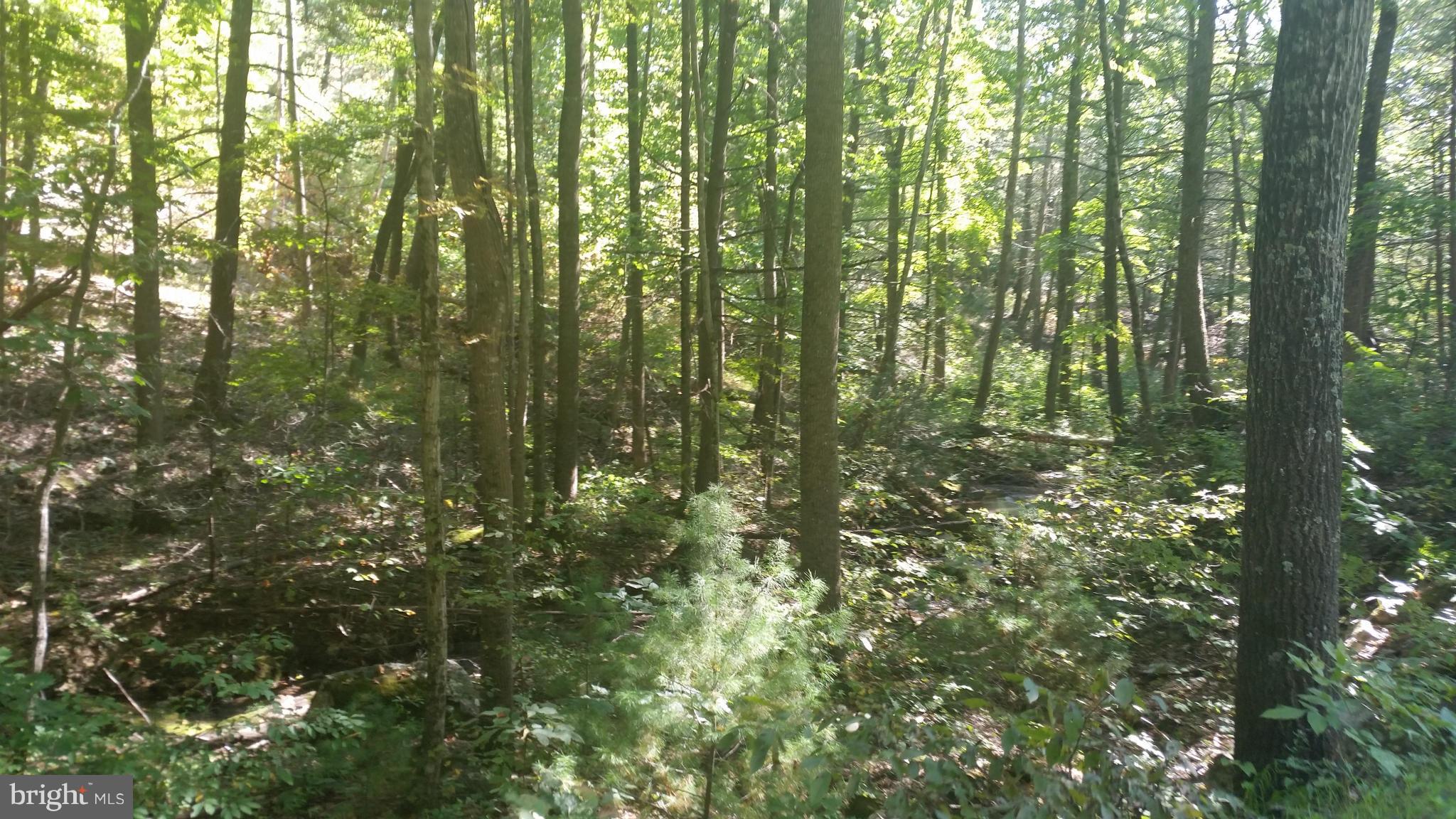 Crooked Run Rd Mount Basye, VA 22810 - Photo 35 of 37 View