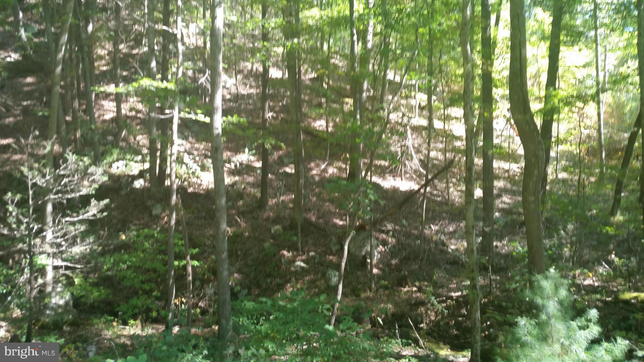 Crooked Run Rd Mount Basye, VA 22810 - Photo 36 of 37 View