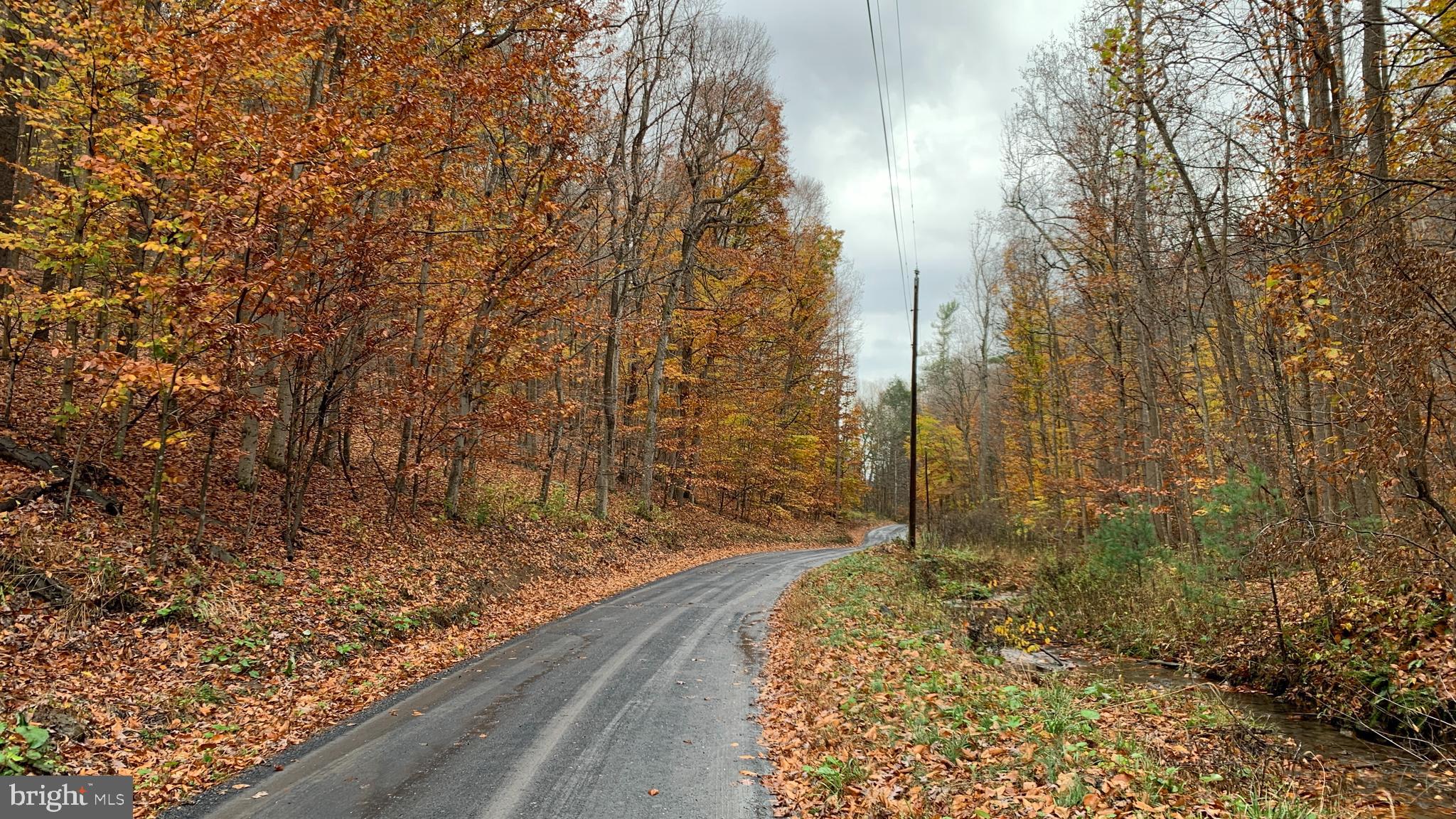 Crooked Run Rd Mount Basye, VA 22810 - Photo 4 of 37