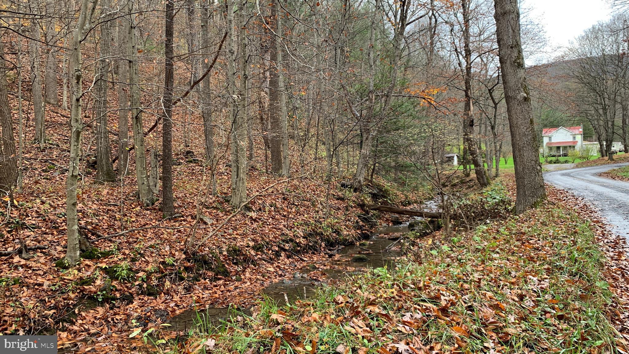 Crooked Run Rd Mount Basye, VA 22810 - Photo 7 of 37
