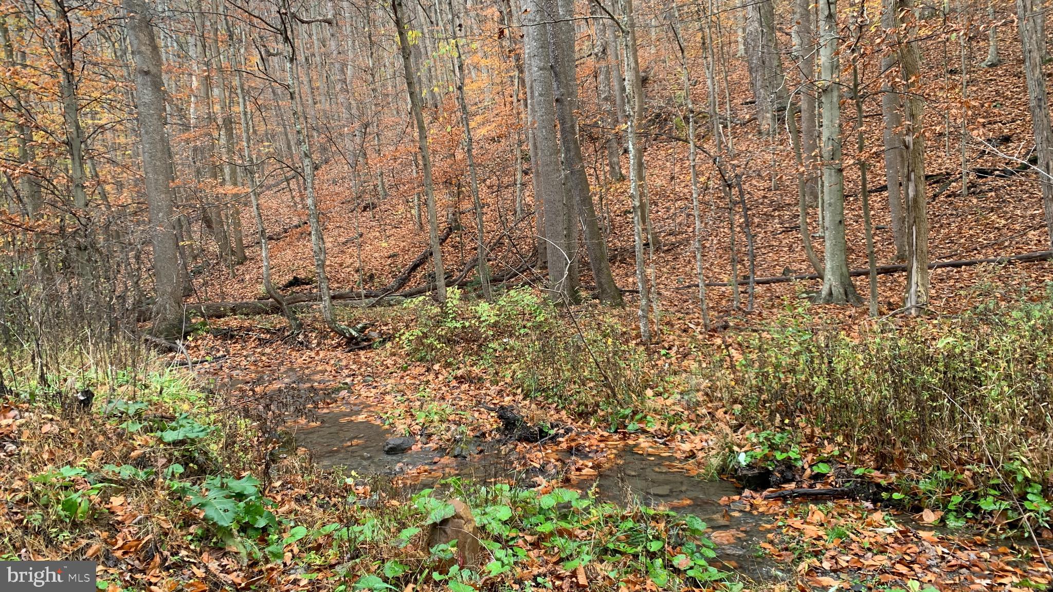 Crooked Run Rd Mount Basye, VA 22810 - Photo 10 of 37