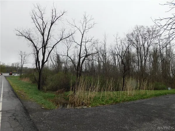 $39,900 | 12739 Main Street, Newstead, NY 14001
