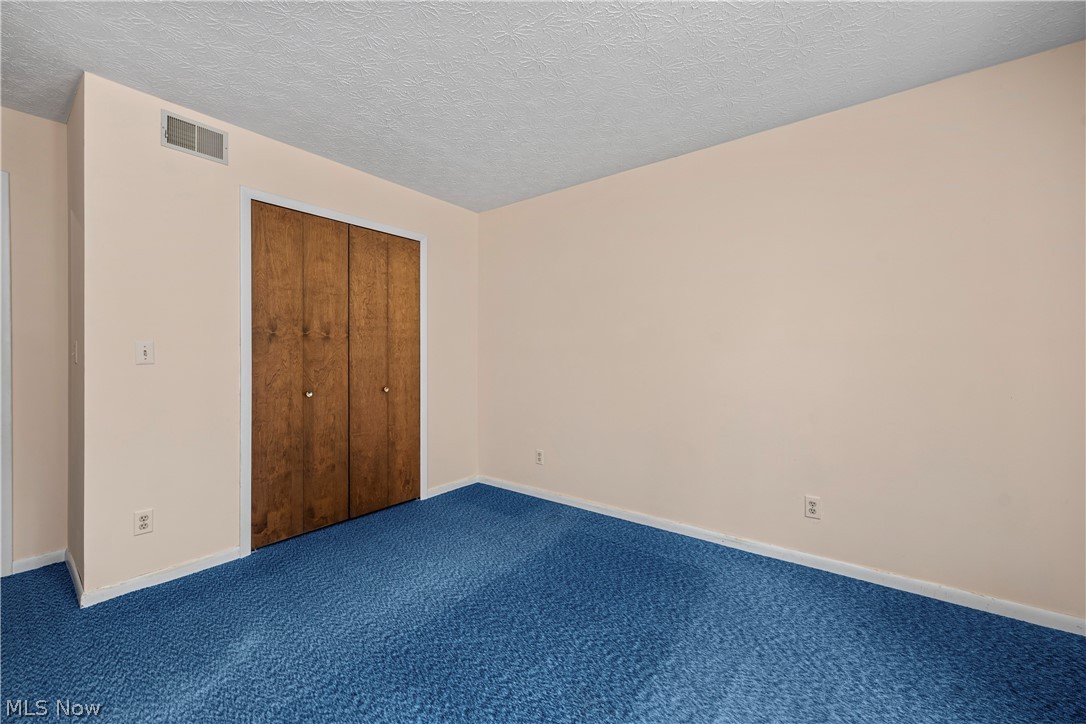6451 Kungle Road Clinton, OH 44216 - Photo 29 of 34 Spacious bedroom featuring blue carpet flooring, cream-colored walls, and wood-finish closet doors with brass hardware