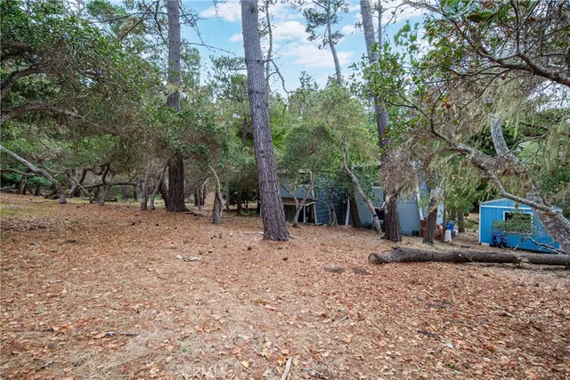 a view of outdoor space with trees