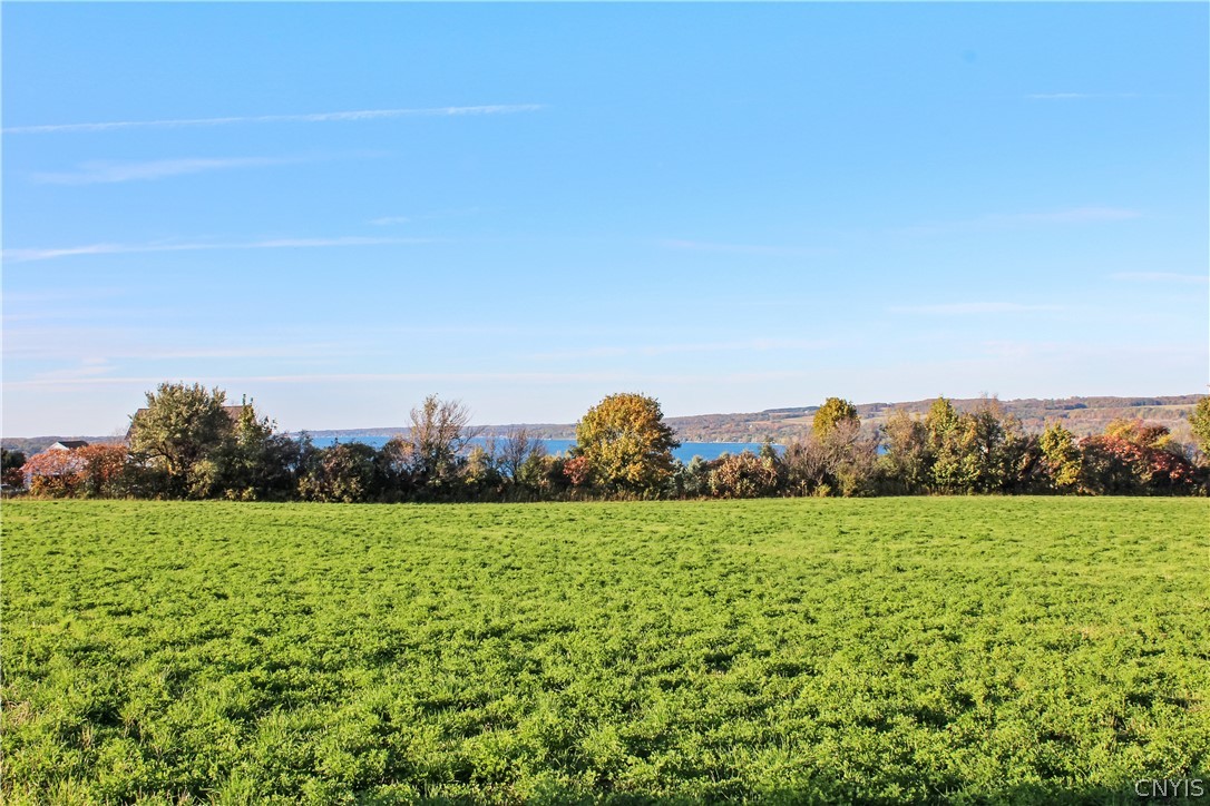 4679 State Route Skaneateles, NY 13152 - Photo 5 of 27 Gallery Image 5