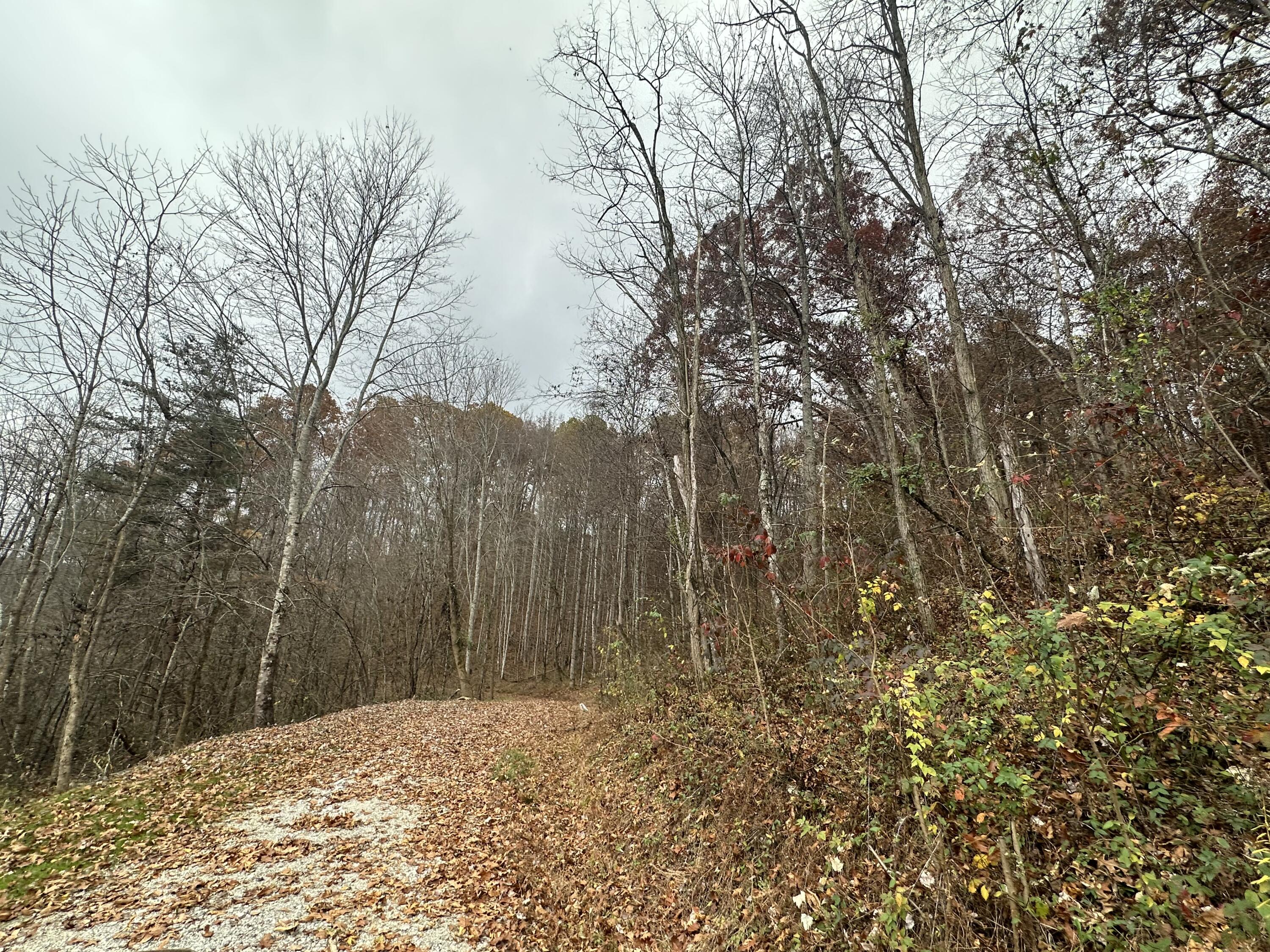 F Freeman Branch Road East Bernstadt, KY 40729 - Photo 15 of 19 IMG_0453