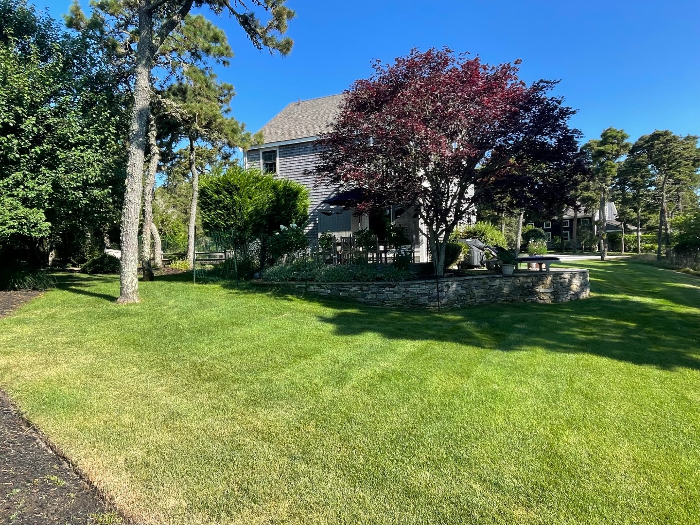 11 Newtown Road Nantucket, MA 02554 - Photo 20 of 20 a view of a yard with a tree
