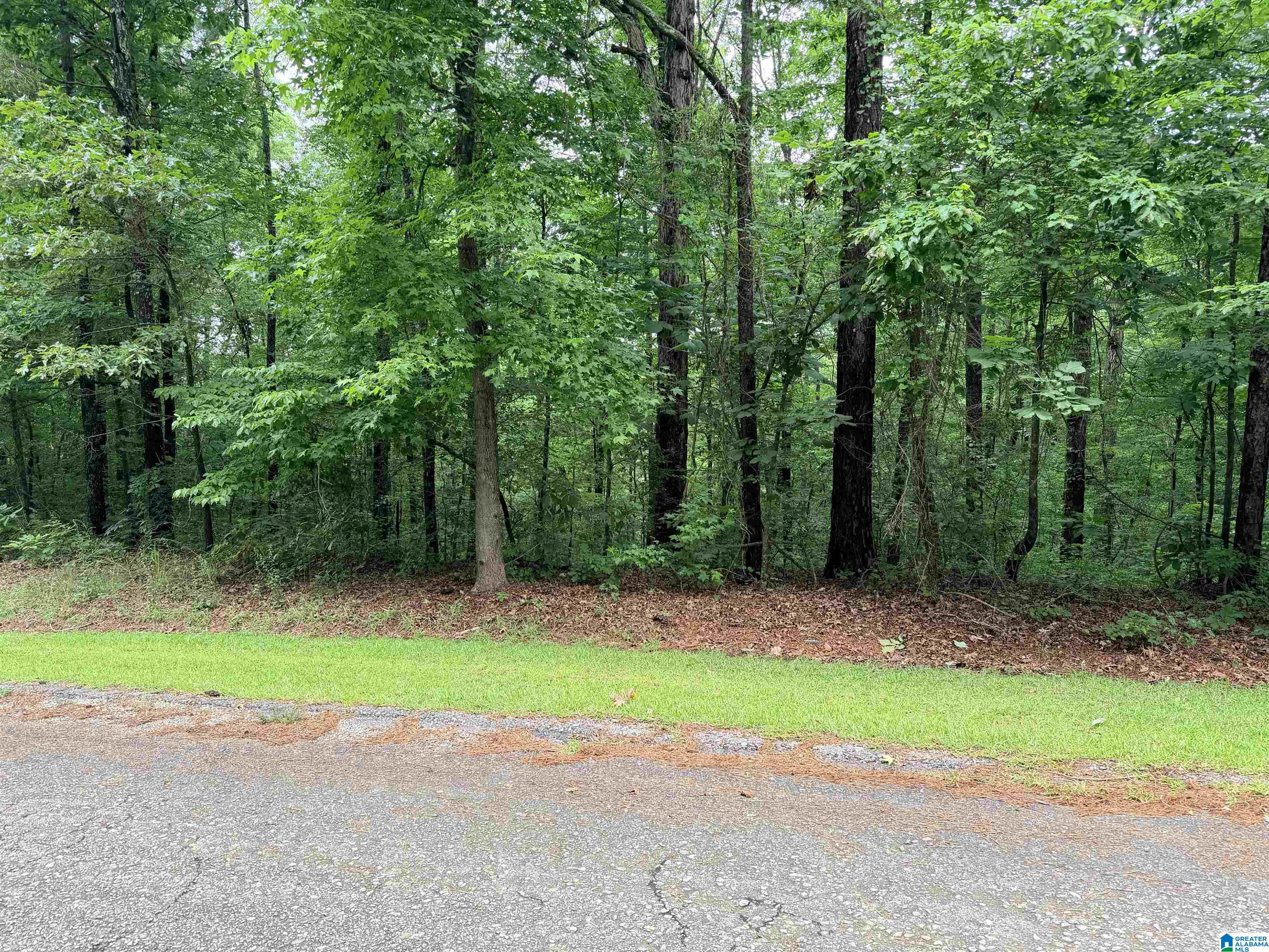72 Ridgewood Drive, Unit 22 Hayden, AL 35079 - Photo 1 of 1