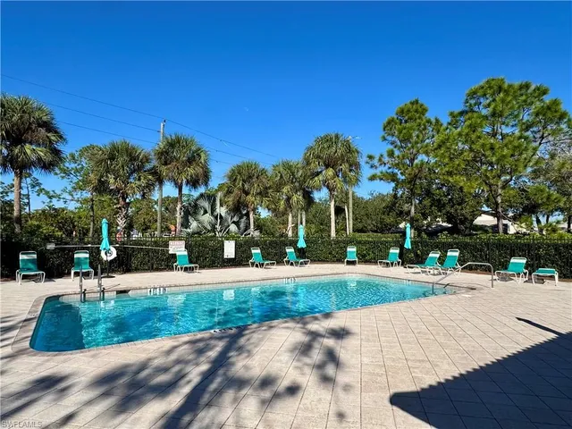 a view of a yard with plants and palm trees