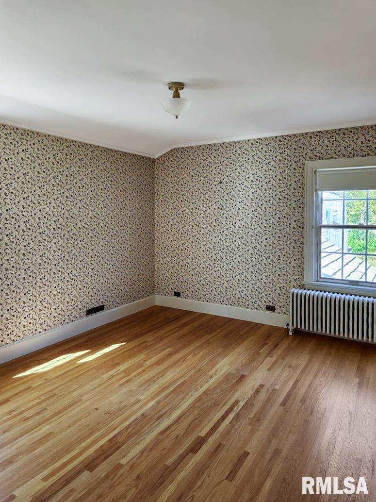 304 North Locust Street Delavan, IL 61734 - Photo 33 of 61