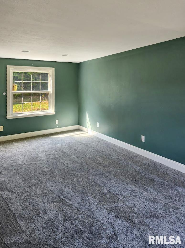 304 North Locust Street Delavan, IL 61734 - Photo 41 of 61