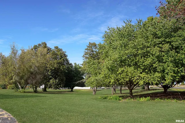 $400,000 | 304 North Locust Street, Delavan, IL 61734