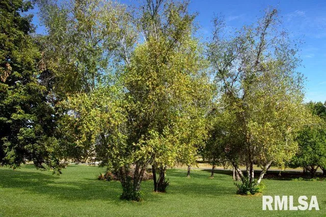 $400,000 | 304 North Locust Street, Delavan, IL 61734