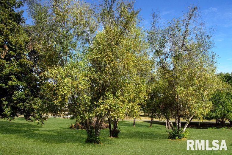 304 North Locust Street Delavan, IL 61734 - Photo 58 of 61