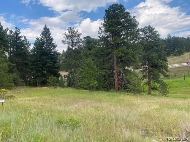 $250,000 | 8036 Settlers Drive, Morrison, CO 80465