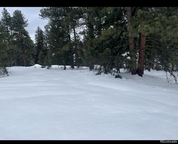 a view of a outdoor space with trees