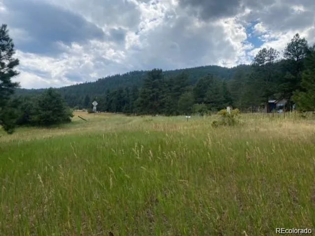 a view of an outdoor space and a yard