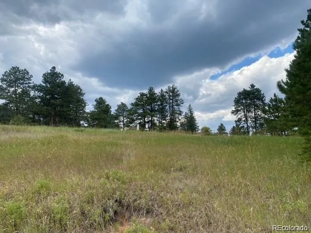 a view of an ocean and beach
