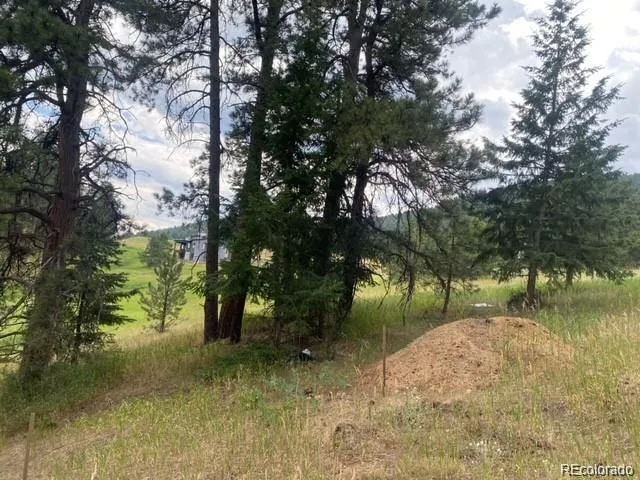 a view of backyard with green space