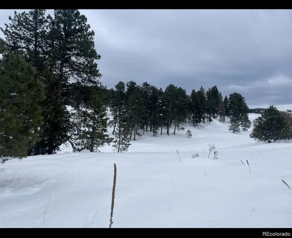 a view of a dry yard with a tree