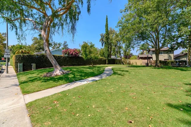a view of a swimming pool with a yard