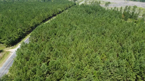 $310,800 | 1 Farmington Road, Gable, SC 29051