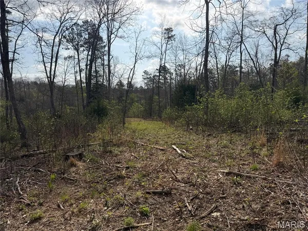 $119,900 | 2 Furnace Creek Road, Potosi, MO 63664