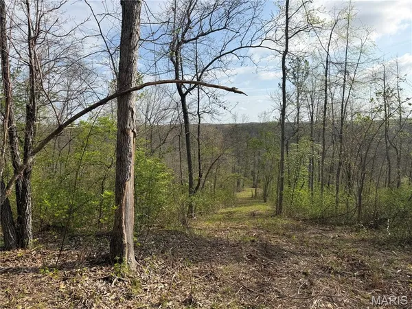 $119,900 | 2 Furnace Creek Road, Potosi, MO 63664
