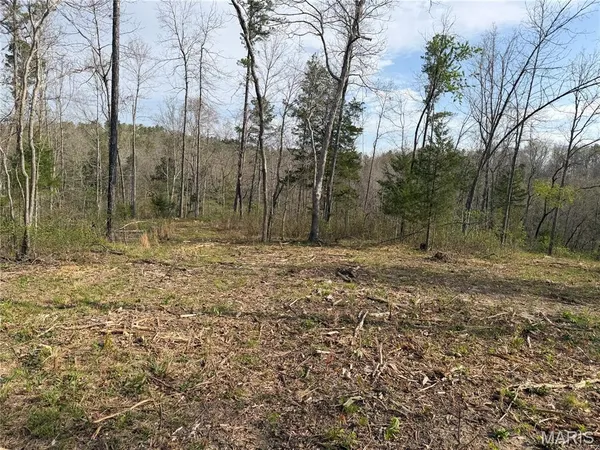 $119,900 | 2 Furnace Creek Road, Potosi, MO 63664