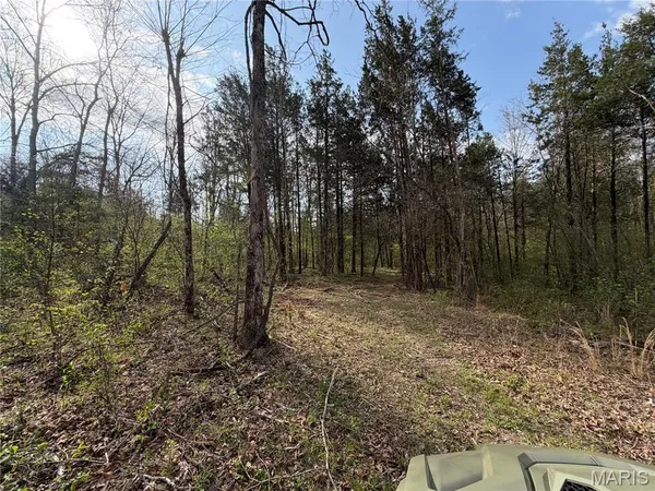 $119,900 | 2 Furnace Creek Road, Potosi, MO 63664
