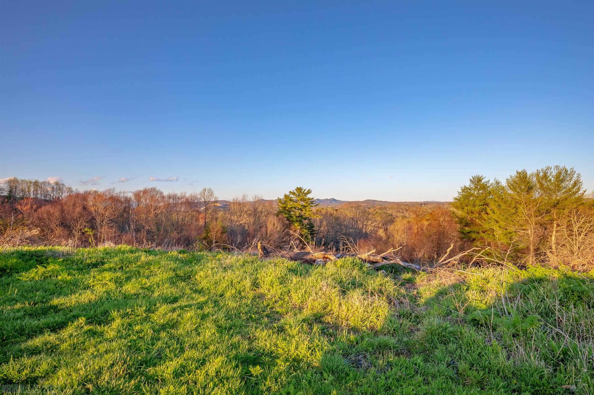 33-acres Ridge Road Austinville, VA 24312 - Photo 45 of 74 Gallery Image 45