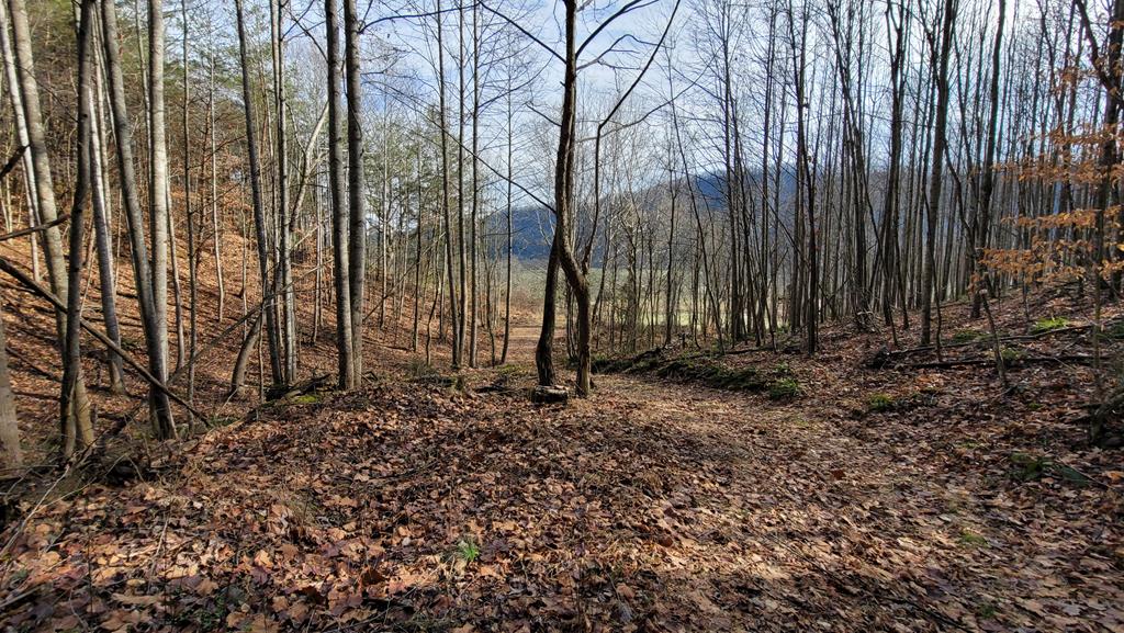 Tbd Mendota Road, Unit 5 & 6 Abingdon, VA 24210 - Photo 28 of 42 Gallery Image 28