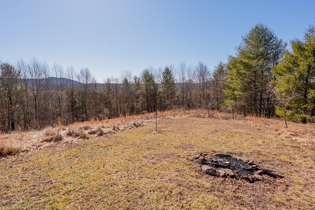 485 Grouse Ridge Road Max Meadows, VA 24360 - Photo 45 of 76 Gallery Image 45
