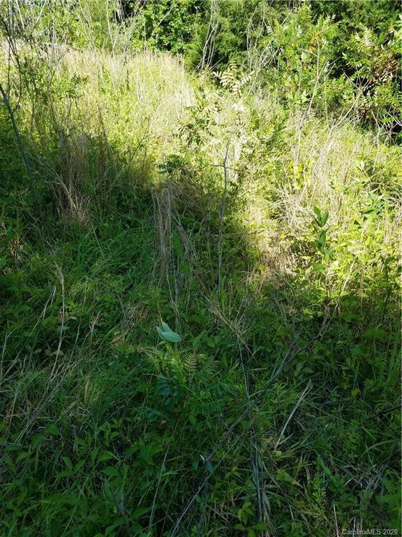 748 Enon Church Road Blacksburg, SC 29702 - Photo 11 of 13 a view of a lush green forest