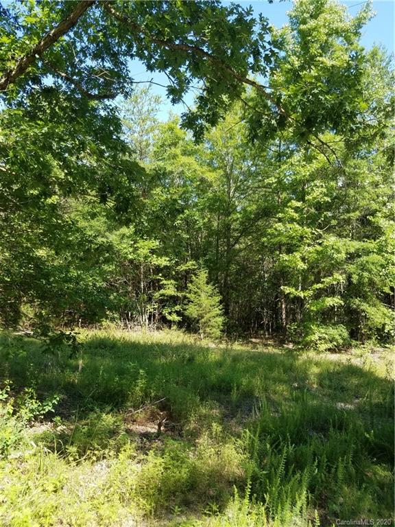 748 Enon Church Road Blacksburg, SC 29702 - Photo 4 of 13 a big yard with lots of green space and deers