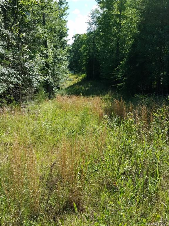 748 Enon Church Road Blacksburg, SC 29702 - Photo 7 of 13 a view of a yard with a tree