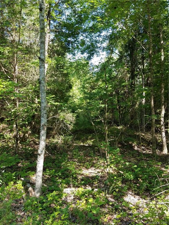 748 Enon Church Road Blacksburg, SC 29702 - Photo 9 of 13 a view of a forest