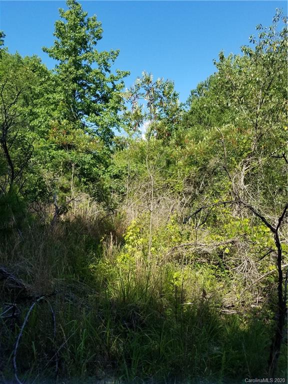 748 Enon Church Road Blacksburg, SC 29702 - Photo 10 of 13 a view of a lush green forest