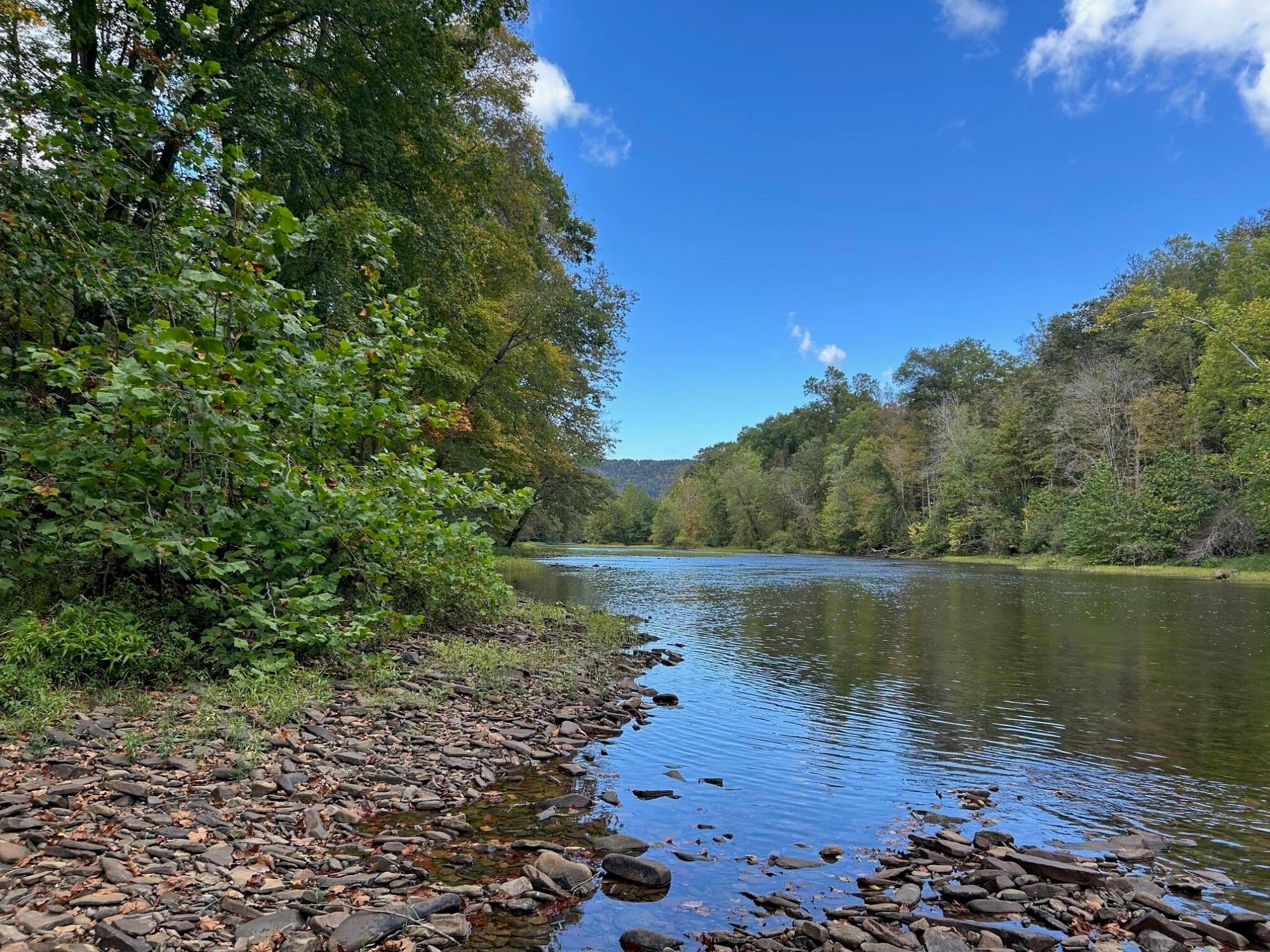 Tbd Keister Road Frankford, WV 24938 - Photo 19 of 40 Gallery Image 19